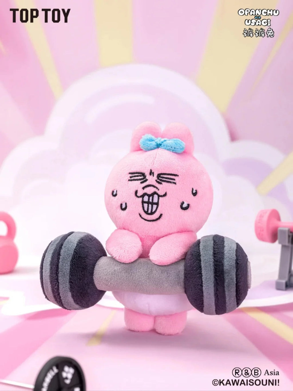 A150-8 Usagi 우사기 래빗 라이프 시리즈 플러시 랜덤 박스